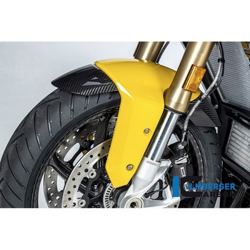 Ilmberger / イルムバーガー フロントマッドガード 塗装済樹脂フェンダー向け S 1000 XR (2020-) ILMBERGER (イルムバーガーカーボンパーツ)