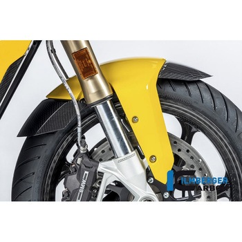 Ilmberger / イルムバーガー フロントマッドガード 塗装済樹脂フェンダー向け S 1000 XR (2020-) ILMBERGER (イルムバーガーカーボンパーツ)