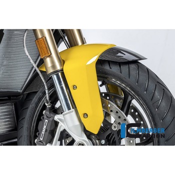 Ilmberger / イルムバーガー フロントマッドガード 塗装済樹脂フェンダー向け S 1000 XR (2020-) ILMBERGER (イルムバーガーカーボンパーツ)
