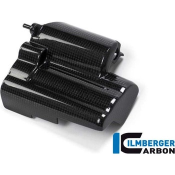 BMWモトラッド　Rnine T カーボンスターターロックカバー BMWモトラッド Rnine T カーボンスターターロックカバー