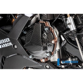 Ilmberger / イルムバーガーカーボンパーツ オルタネーターカバー BMW S 1000 RR Street 2019 ILMBERGER (イルムバーガーカーボンパーツ)