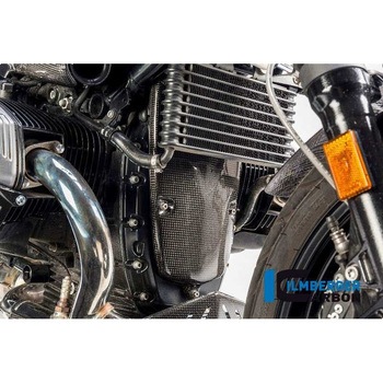 カーボンパーツ アルタネーターカバー R1200R/S/HP2 Sport ILMBERGER (イルムバーガーカーボンパーツ)