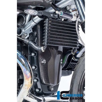 カーボンパーツ アルタネーターカバー R1200R/S/HP2 Sport ILMBERGER (イルムバーガーカーボンパーツ)