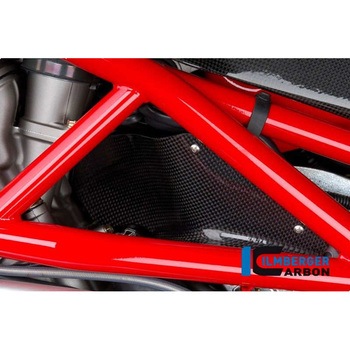 カーボンパーツ ヒーテッドエアー フラップ カーボン - MV Agusta Brutale 750/910 ILMBERGER (イルムバーガーカーボンパーツ)