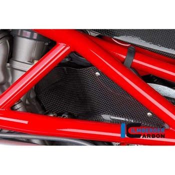 カーボンパーツ ヒーテッドエアー フラップ カーボン - MV Agusta Brutale 750/910 ILMBERGER (イルムバーガーカーボンパーツ)