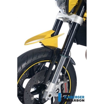 カーボンパーツ フロントマッドガード カーボン - Husqvarna Nuda 900 / 900 R ILMBERGER (イルムバーガーカーボンパーツ)