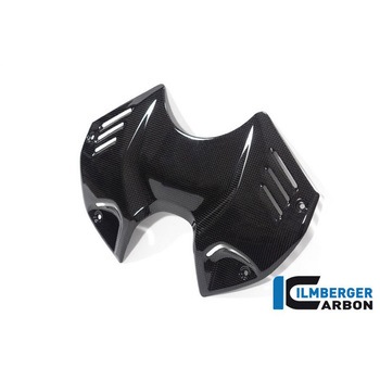 Ilmberger / イルムバーガー タンクパネル フロント グロス V4 Streetfighter ILMBERGER (イルムバーガーカーボンパーツ)