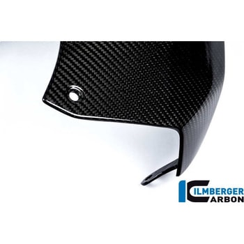 カーボンパーツ タンクカバー上側 カーボン BMW S1000R 2014- - ILMBERGER (イルムバーガーカーボンパーツ)