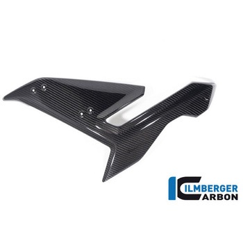 Ilmberger / イルムバーガー フェアリング サイドパネル 左 BMW S 1000 R 2021 ILMBERGER (イルムバーガーカーボンパーツ)
