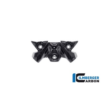 Ilmberger / イルムバーガー ウインドシールド BMW S 1000 R 2021 ILMBERGER (イルムバーガーカーボンパーツ)