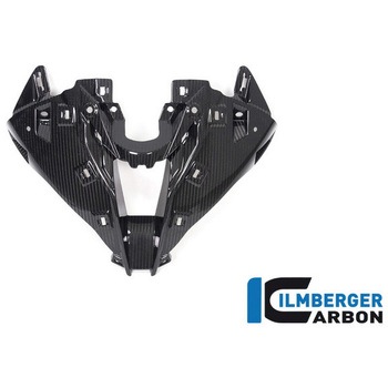 Ilmberger / イルムバーガー フロントフェアリング エアインテークセンター BMW M 1000 RR 2021 ILMBERGER (イルムバーガーカーボンパーツ)
