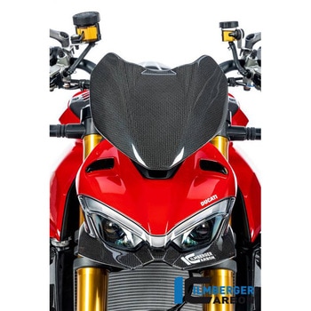 Ilmberger / イルムバーガー フロントフェアリング ロワーパート グロス V4 Streetfighter ILMBERGER (イルムバーガーカーボンパーツ)
