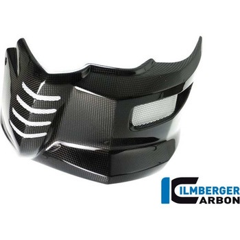 カーボンパーツ モータースポイラー - BMW F 800 R (2015-) - ILMBERGER (イルムバーガーカーボンパーツ)