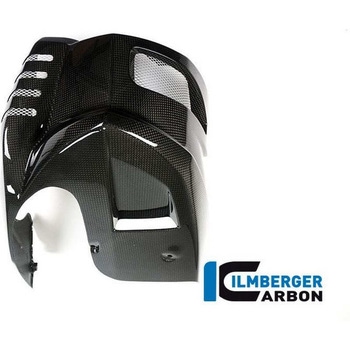 カーボンパーツ モータースポイラー - BMW F 800 R (2015-) - ILMBERGER (イルムバーガーカーボンパーツ)
