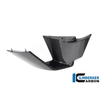 Ilmberger / イルムバーガー ウイングレット 左 BMW M 1000 RR - ILMBERGER (イルムバーガーカーボンパーツ)