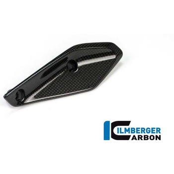 カーボンパーツ フェアリングウィングレット 左側 BMW R 1200 RS&apos；15 - ILMBERGER (イルムバーガーカーボンパーツ)