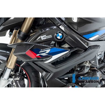 Ilmberger / イルムバーガー ウイングレット 左 BMW S 1000 R 2021 ILMBERGER (イルムバーガーカーボンパーツ)