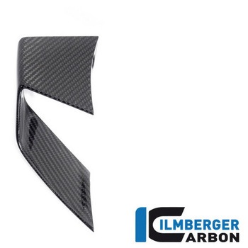 Ilmberger / イルムバーガー ウイングレット 左 BMW S 1000 R 2021 ILMBERGER (イルムバーガーカーボンパーツ)