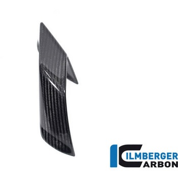 Ilmberger / イルムバーガー ウイングレット 左 BMW S 1000 R 2021 ILMBERGER (イルムバーガーカーボンパーツ)