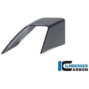 Ilmberger / イルムバーガー ウイングレット 左 BMW S 1000 R 2021 ILMBERGER (イルムバーガーカーボンパーツ)