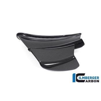 Ilmberger Carbon / イルムバーガー Winglet left gloss Panigale V4 R - ILMBERGER (イルムバーガーカーボンパーツ)