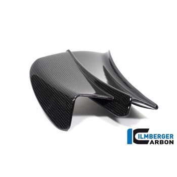 Ilmberger Carbon / イルムバーガー Winglet left gloss Panigale V4 R - ILMBERGER (イルムバーガーカーボンパーツ)