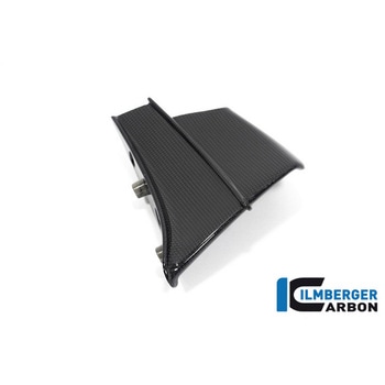 Ilmberger Carbon / イルムバーガー Winglet left gloss Panigale V4 R - ILMBERGER (イルムバーガーカーボンパーツ)