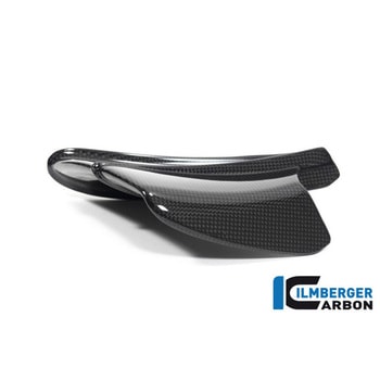 Ilmberger Carbon / イルムバーガー Winglet left gloss Panigale V4 R - ILMBERGER (イルムバーガーカーボンパーツ)