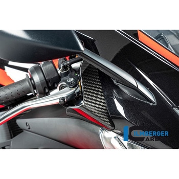 Ilmberger / イルムバーガー ウイングレット 右 グロス RSV4 (2021-) ILMBERGER (イルムバーガーカーボンパーツ)
