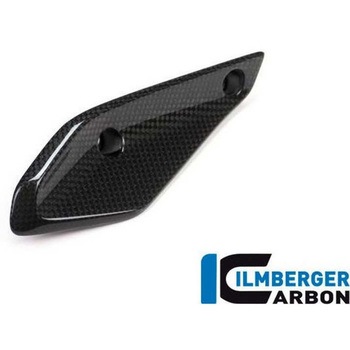 カーボンパーツ フェアリングウィングレット 右側 BMW R 1200 RS&apos；15 - ILMBERGER (イルムバーガーカーボンパーツ)