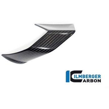 Ilmberger / イルムバーガー ウイングレット 右 BMW S 1000 R 2021 ILMBERGER (イルムバーガーカーボンパーツ)