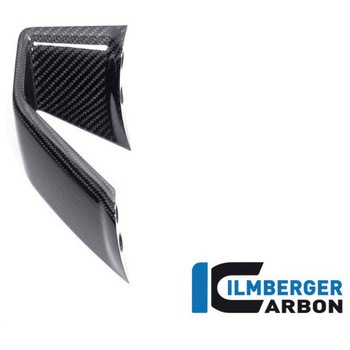 Ilmberger / イルムバーガー ウイングレット 右 BMW S 1000 R 2021 ILMBERGER (イルムバーガーカーボンパーツ)