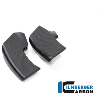 Ilmberger / イルムバーガー ウイングレット 右 マット V4 Streetfighter ILMBERGER (イルムバーガーカーボンパーツ)