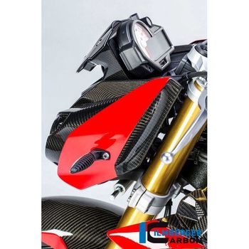 カーボンパーツ サイドカバーフェアリング 左側 カーボン BMW S1000R 2014- ILMBERGER (イルムバーガーカーボンパーツ)