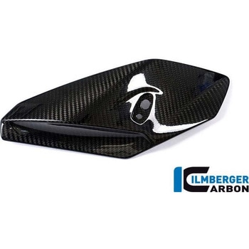 カーボンパーツ サイドカバーフェアリング 右側 カーボン BMW S1000R 2014- - ILMBERGER (イルムバーガーカーボンパーツ)