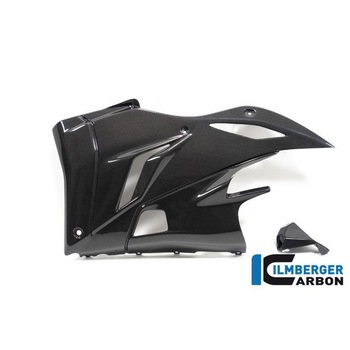 Ilmberger / イルムバーガー ベリーパン グロス 左 V4 Streetfighter ILMBERGER (イルムバーガーカーボンパーツ)