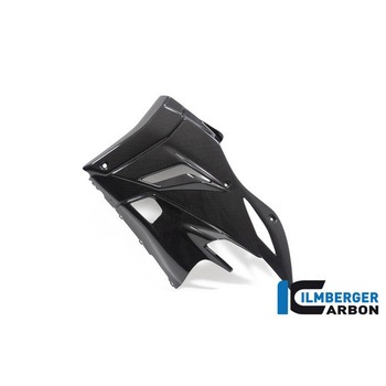 Ilmberger / イルムバーガー ベリーパン グロス 左 V4 Streetfighter ILMBERGER (イルムバーガーカーボンパーツ)