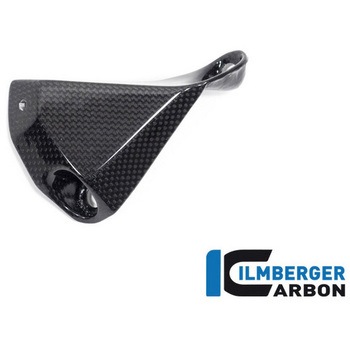 Ilmberger / イルムバーガー ベリーパン グロス 左 V4 Streetfighter ILMBERGER (イルムバーガーカーボンパーツ)