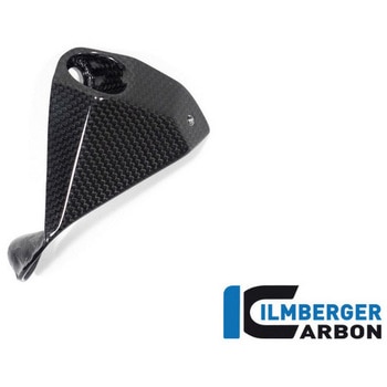Ilmberger / イルムバーガー ベリーパン グロス 左 V4 Streetfighter ILMBERGER (イルムバーガーカーボンパーツ)