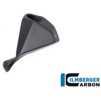 Ilmberger / イルムバーガー ベリーパン マット 左 V4 Streetfighter ILMBERGER (イルムバーガーカーボンパーツ)