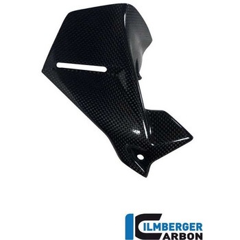 カーボンパーツ インストルメントウィンドプロテクター 左側 ILMBERGER (イルムバーガーカーボンパーツ)