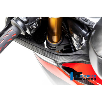 カーボンパーツ エアチューブカバー 左 マット Panigale V4 / V4 S ILMBERGER (イルムバーガーカーボンパーツ)