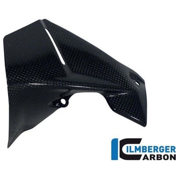 カーボンパーツ インストルメントウィンドプロテクター 右側 - ILMBERGER (イルムバーガーカーボンパーツ)