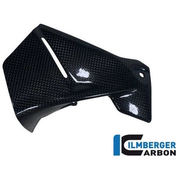 カーボンパーツ インストルメントウィンドプロテクター 右側 - ILMBERGER (イルムバーガーカーボンパーツ)