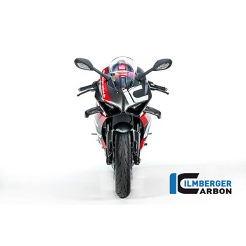 Ilmberger / イルムバーガー ウイングレットキット マット Panigale V2 ILMBERGER (イルムバーガーカーボンパーツ)