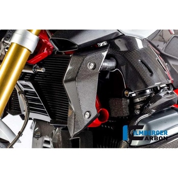 カーボンパーツ ウォータークーラーカバー 左側 - BMW R 1200 R (LC) ILMBERGER (イルムバーガーカーボンパーツ)