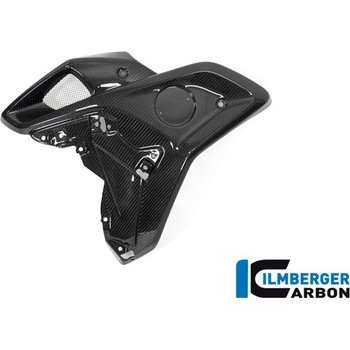 カーボンパーツ エアチューブ 左側 (オリジナルステンレスディフレクター用) BMW R 1250 GS ILMBERGER (イルムバーガーカーボンパーツ)