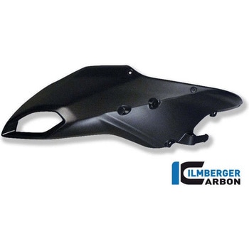 カーボンパーツ カーボン エアチューブ カバー左側 ILMBERGER (イルムバーガーカーボンパーツ)
