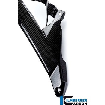 カーボンパーツ ウォータークーラーカバー 左側 カーボン BMW S1000R 2014- ILMBERGER (イルムバーガーカーボンパーツ)