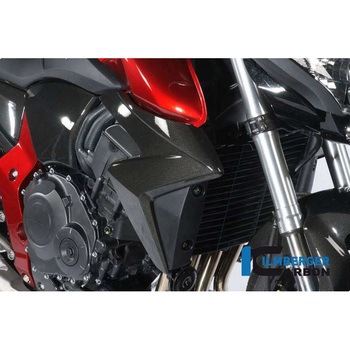 カーボンパーツ ラジエーターカバー 右側 CB 1000 R ILMBERGER (イルムバーガーカーボンパーツ)